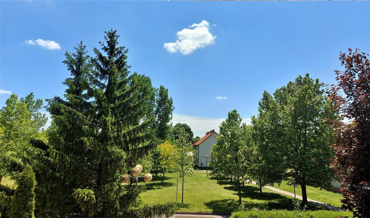 Csipke Hotel Kiskunhalas Zewnętrze zdjęcie